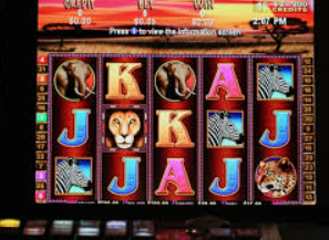 娱乐星空下载app电脑免费版